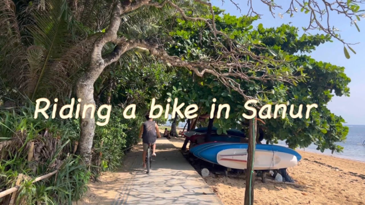 [발리살이17일차] 안다즈 조식/사누르산책/자전거타기/아레나펍스테이크