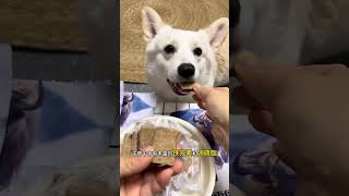 Yak Liver Delight: Just 6.9 Yuan per Pack - Cats &amp; Dogs Go Wild
