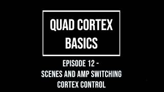 Quad Cortex Basics Episode 12 - Scenes and Amp Switching