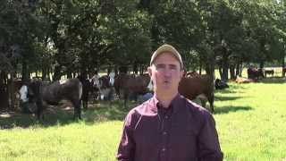 Jason Banta - BQA - Introduction on National Beef Quality Audit (NBQA)