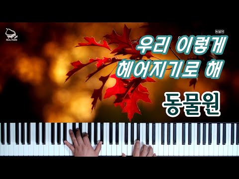 우리 이렇게 헤어지기로 해 - 동물원