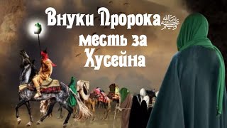 Хасан и Хусейн внуки Пророка (ﷺ)