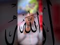 عائلة يبانيه وجدة بيضه غريبه جدا Quran Allah 