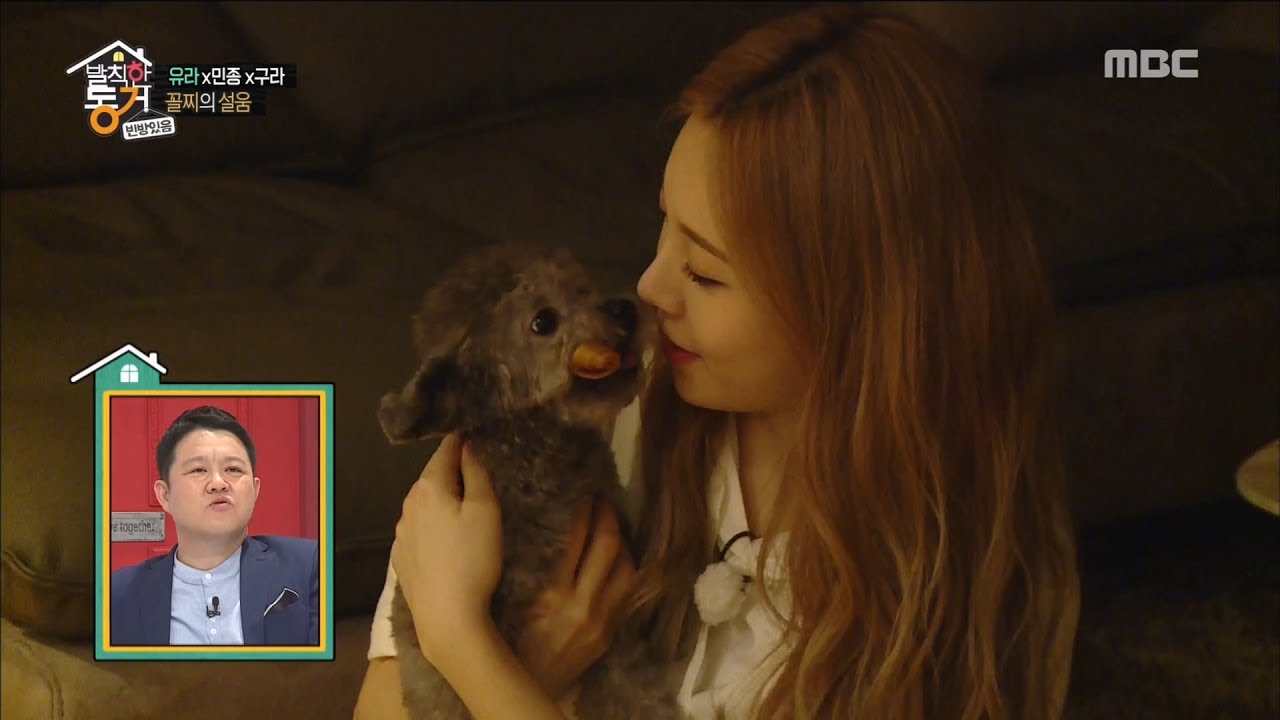 [Living together in empty room] 발칙한 동거 -Yura&puppy union is the love 20170526