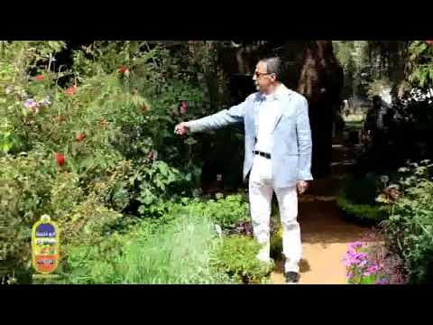 مركب القرن بوتاسيم سي الغانم من شركة ابو غنيمة للاسمدة والصناعات الكيماوية
