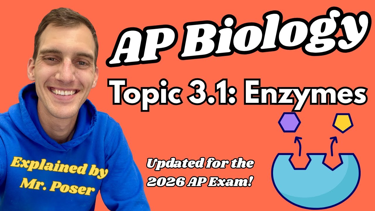3.1 Enzymes - AP Biology (Updated 2025-2026)