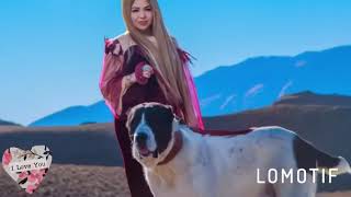 Turkmenistanyn Cempiony Garabash.