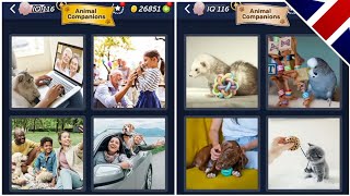 4 Pics 1 Word - Animal Companions - 14.03.2025 - Answer Daily Puzzle - March 2025 screenshot 5