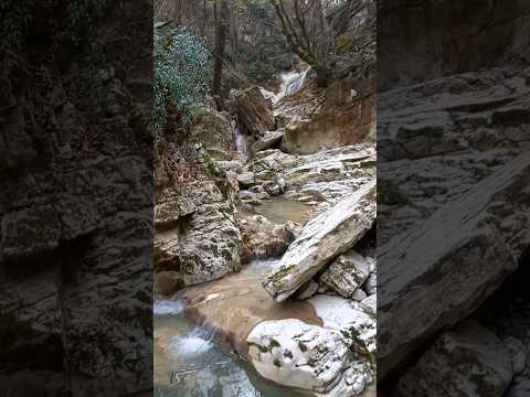 Cover Water Stream Flowing🌊🪨#naturesounds #relaxing #relaxation #hyrcanianforest #unescoworldheritagesite