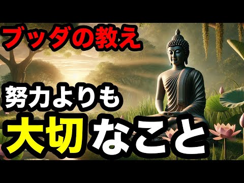 【ブッダの教え】努力の代わりにすべきこと。人生後悔しないブッダの生き方。2500年前から伝わる仏教の真髄。【仏教 瞑想 自己啓発】