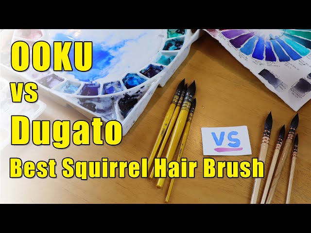 OOKU Professional Quill Brushes Watercolor Set - 4 Pc Real Squirrel Hair  Blend Brushes for Consistent Flow - Short Handle Round Paint Brush for