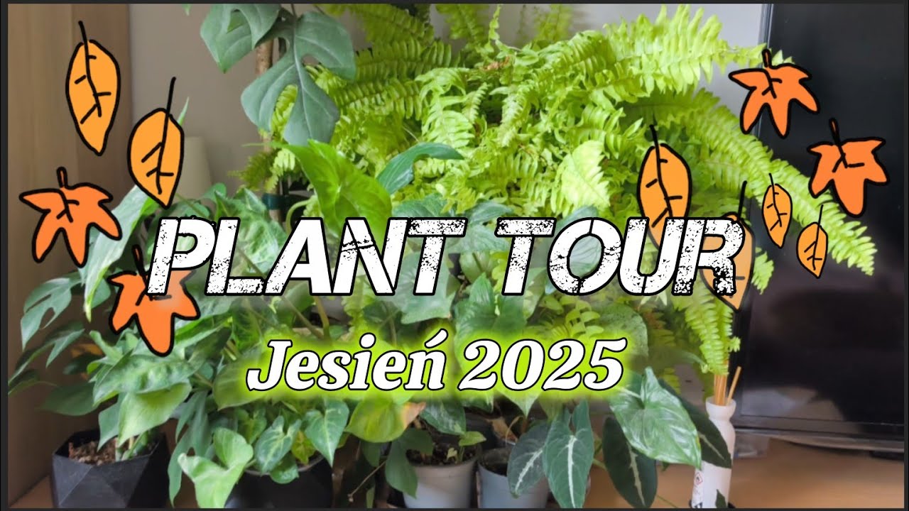 🍂JESIENNY🍂PLANT TOUR🌿 OSTATNI 