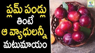 Health Benefits of Plum Fruit In Telugu | ఈ పండును అస్సలు మిస్ కాకండి | Albakara fruit Benifits