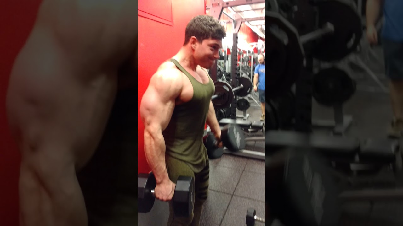  Hammer Curls 🔨