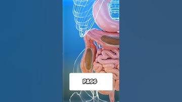 Expert Tips for Stunning 3D Animation in Cinema 4D  #art