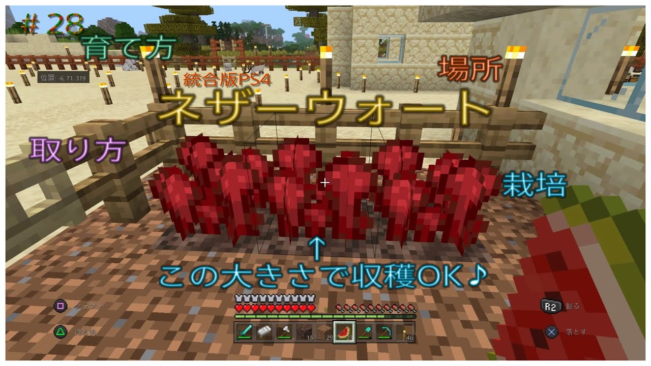 ﾏｲｸﾗ ネザーウォート の場所 取り方 栽培 育て方 収穫 28 癒し系 ふわふわり 統合版 ｐｓ４ マインクラフト 女性ゲーム実況者 初心者 女性向け オトナ女子 Youtube