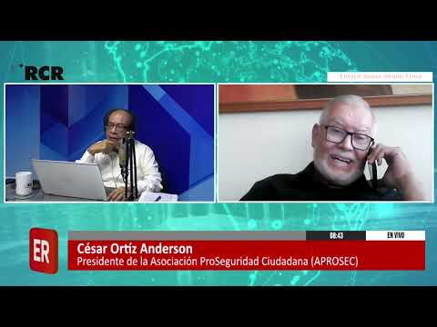 LA CRIMINALIDAD ORGANIZADA Y LA MODALIDAD DEL “GOTA A GOTA”