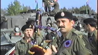 TANKS FOR THE MEMORIES Cat91.avi