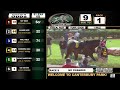 Canterbury Park 8-10-2022