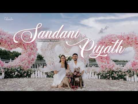 දවසක් ඒවි අපිත් අපෙ හීන වලට යාවී..💓 | Sandani & Piyath Proposal Video