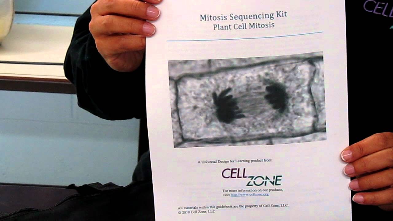 Introduction to the Mitosis Sequencing Kit from Cell Zone