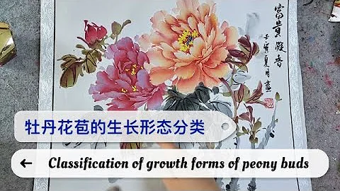 初学者中国画课程_第五课_零基础入门学画牡丹_Lesson 5_Peony Painting for Beginners_有字幕 (With subtitles) - 天天要闻