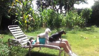 video 2011 09 29 13 18 14