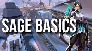 Sage Icebox Guide | Beginners Guide