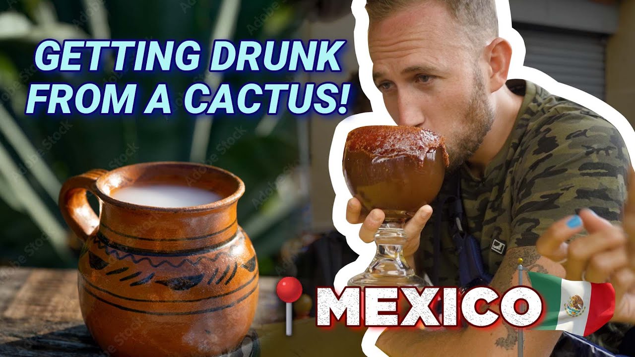 Searching for Mexico's Ancient Cactus Drink that Gets You Drunk