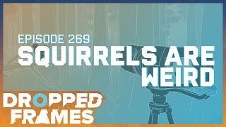 Famous Those Squirrels Are Up To Something | Dropped Frames 269 (Part 2) Profile