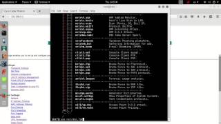 DNS fake Server | Spoof DNS with Katana Framework screenshot 5