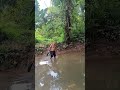 nature of peace tranquility #buhay_probinsya #peaceful #viralvideo
