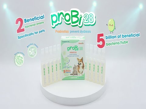 PROBI28 Probiotics Prevent Dysbiosis Vemedim 