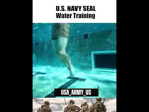 U.S. Navy Seal