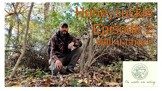 Famous Honeysuckle Episode 2 - Will it Char? Profile