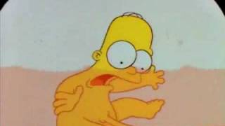 Homer En El Útero.wmv