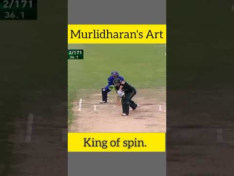 The art makes king of spin to Murlidharan.