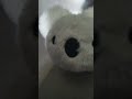 VOCÊ NEM TEM CABE-