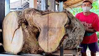 Ancient teak wood stump that is hard and beautifully patterned