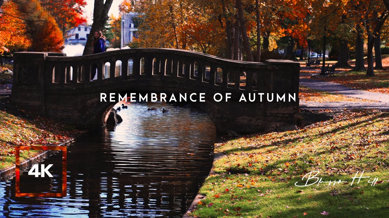 Colors of AutumnㅣBeautiful Fall Ambience of a ParkㅣWalking Town Parkㅣ4K