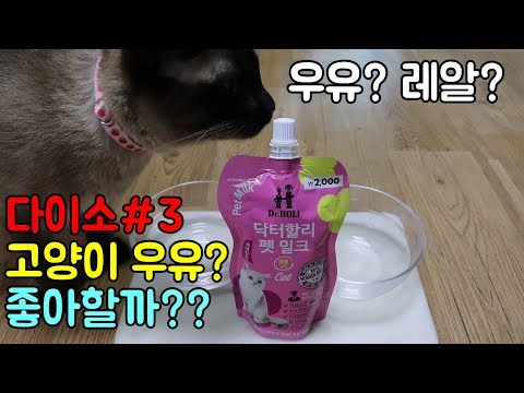 [고양이 먹방] 다이소 고양이 간식 펫밀크? 우유? 좋아할까요?