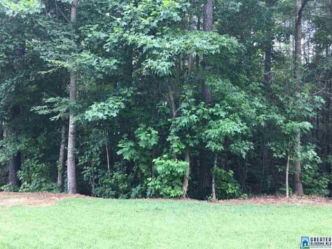 200 CAMERON CIR 17, Chelsea, AL home video tour