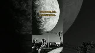 Download Lagu Terlalu sibuk mengejar dunia ✨ MP3