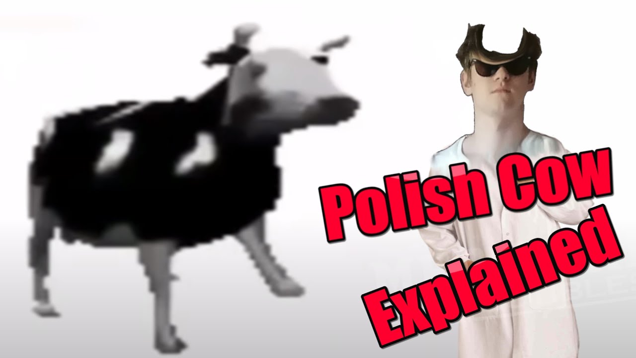 Polish cow текст. Polish Cow. Polish Cow Dance. Polish Cow Lyrics. Перевод Cow Song.