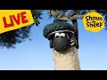 Shaun The Sheep TV! Full Episodes All Day!