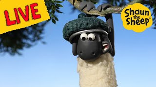 Shaun The Sheep TV! Full Episodes All Day!