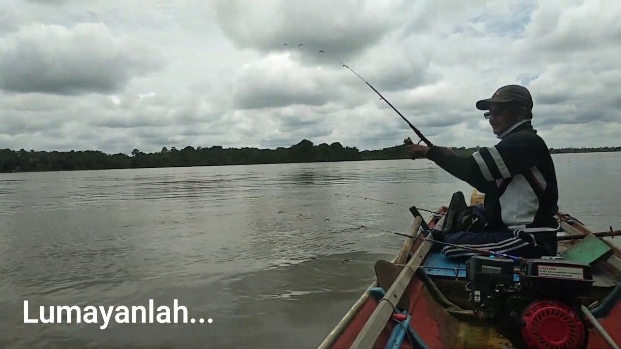 keseruan mancing udang galah #udanggalah #mancingmania #ranggasmania