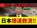 【ゆっくり解説】欧州で半導体が停止!中国が輸出規制!しかし日本が爆速で救済してしまう!