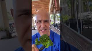 The Healing Power of Broccoli!  Dr. Mandell