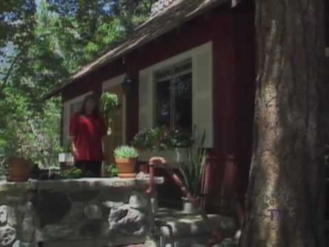 Nick's Survival, A Child - Mother Psychic Connection - Part 1